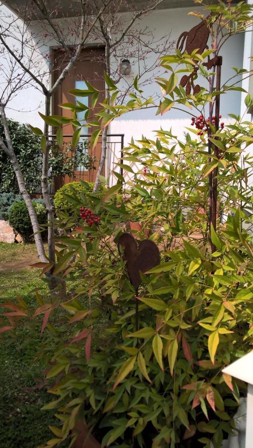 Le Betulle Bed and Breakfast Zanica Buitenkant foto